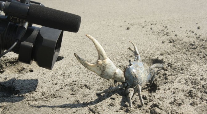 Documentaleando: Rodaje en Parque Natural Isla Salamanca