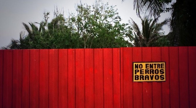 La punta del iceberg