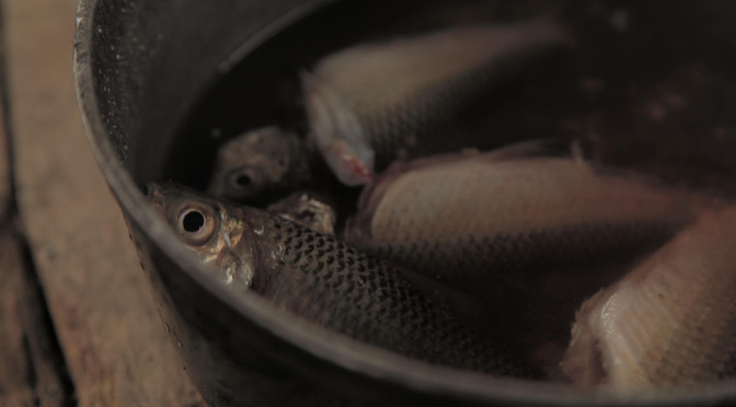 Muerte Lenta: El pueblo uitoto acorralado por el mercurio