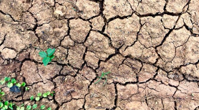 #E_motion 1 de 52: Tierra